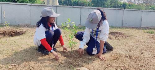 Plantation Drive gallery