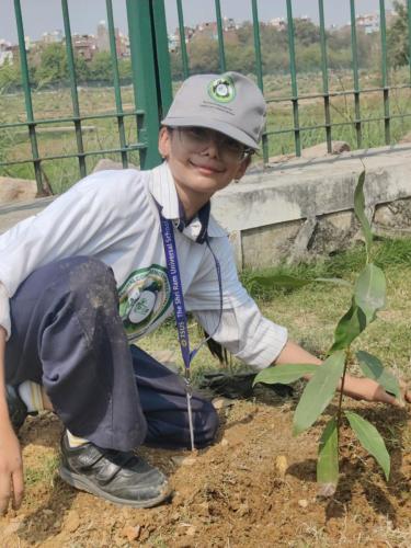 Plantation Drive gallery