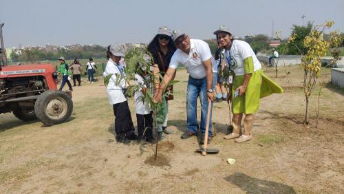 Plantation Drive gallery
