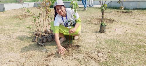 Plantation Drive gallery