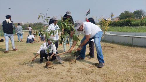 Plantation Drive gallery