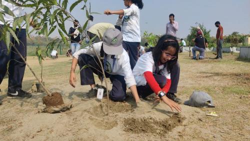 Plantation Drive gallery