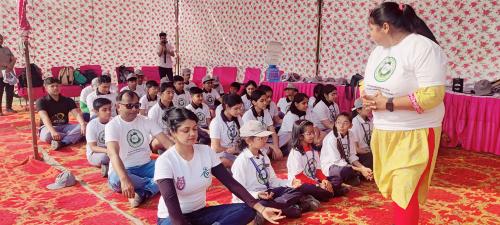 Plantation Drive gallery